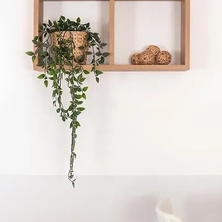 Colombina Like At 3 Bedrooms Fully Equipped Air Conditioned Apartamento *