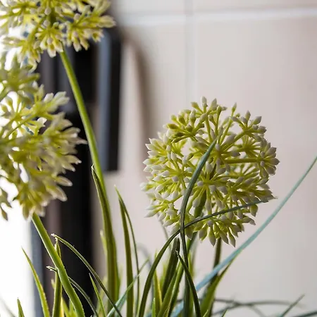 Colombina Like At 3 Bedrooms Fully Equipped Air Conditioned Apartamento