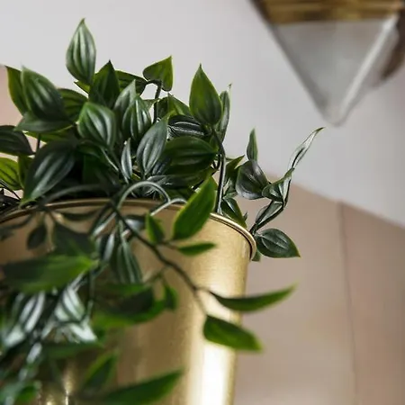 Apartamento Colombina Like At 3 Bedrooms Fully Equipped Air Conditioned Veneza