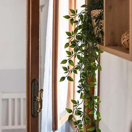 Colombina Like At 3 Bedrooms Fully Equipped Air Conditioned